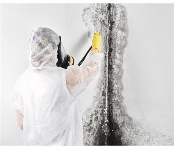 A professional disinfector in overalls processes the walls from mold with a spatula.