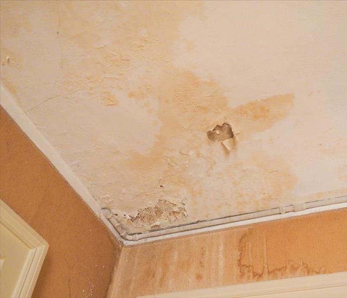Water stains and mold growth on a ceiling.
